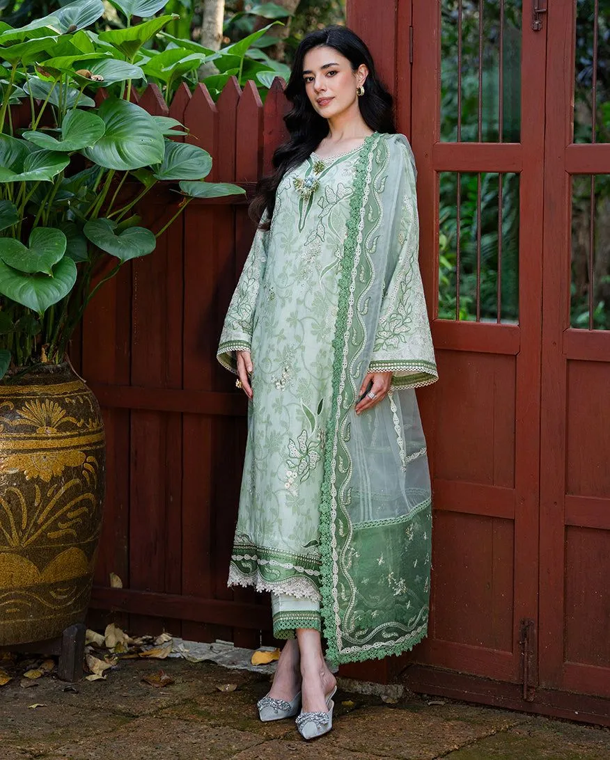 MUSHQ RTW