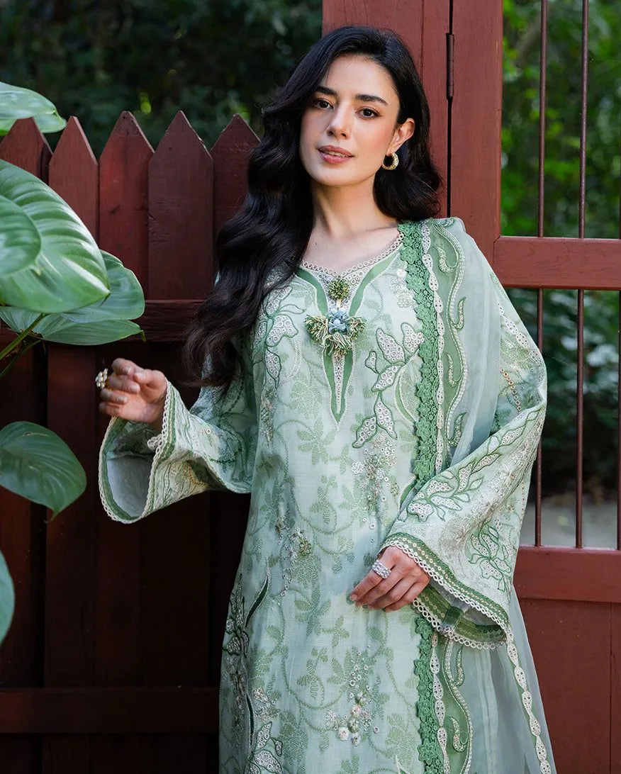 MUSHQ RTW