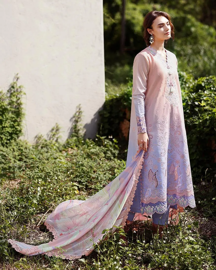 MUSHQ Solace | Ombre Chikankari