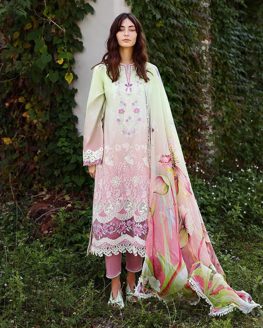 MUSHQ Solace | Ombre Chikankari