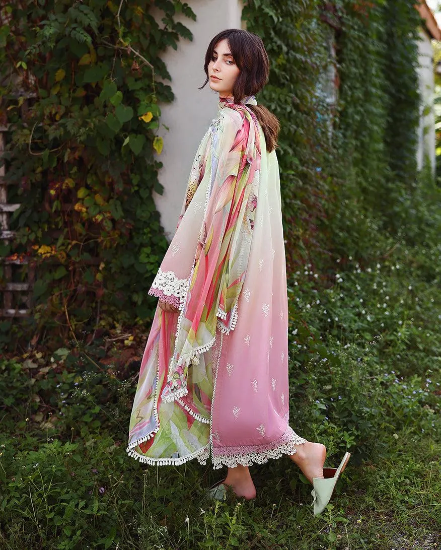MUSHQ Solace | Ombre Chikankari