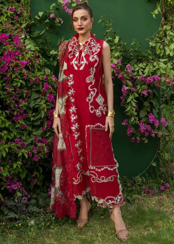 SAIRA SHAKIRA BLOOM