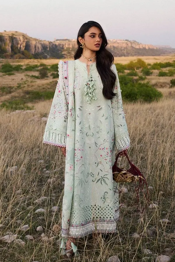 SUFFUSE LAWN