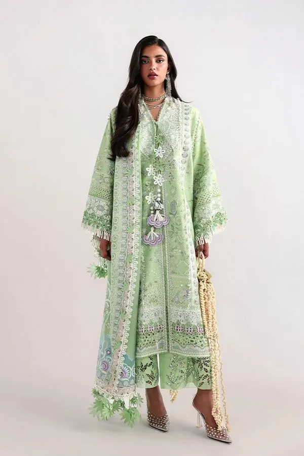 SUFFUSE LAWN