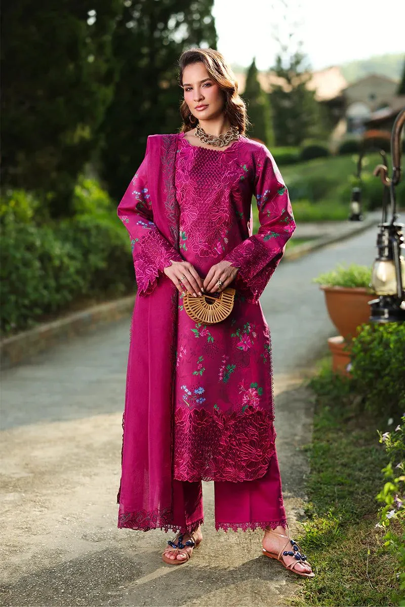 Rang Rasiya Florence  Summer
